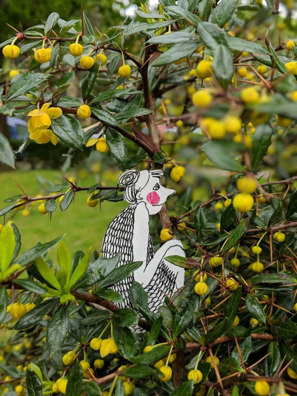 Cut-out figure perched among the thorns and yellow blossom of a barberry shrub