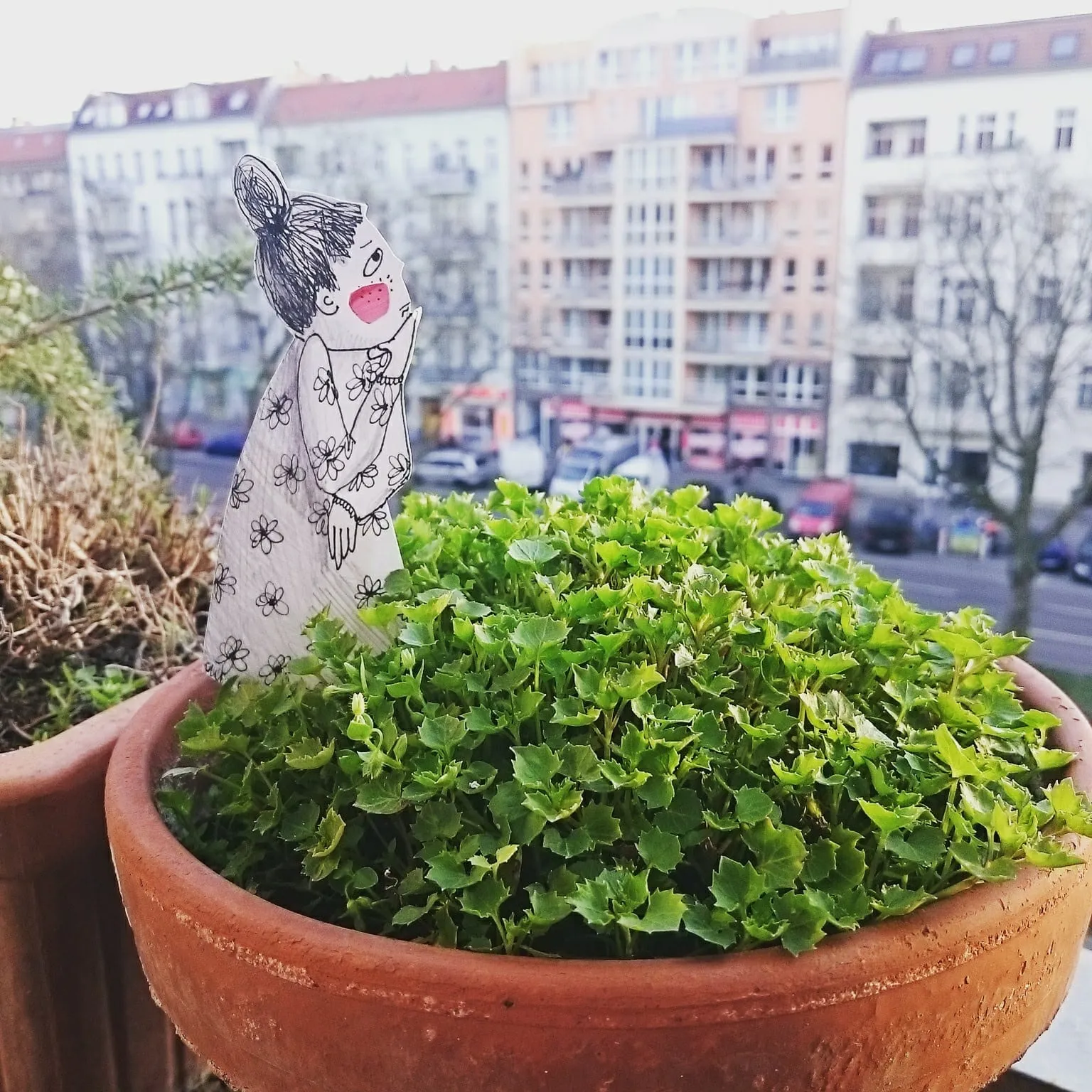 Girl in a daisy-print dress resting her chin on her hands over a terracotta pot, apartment facades behind