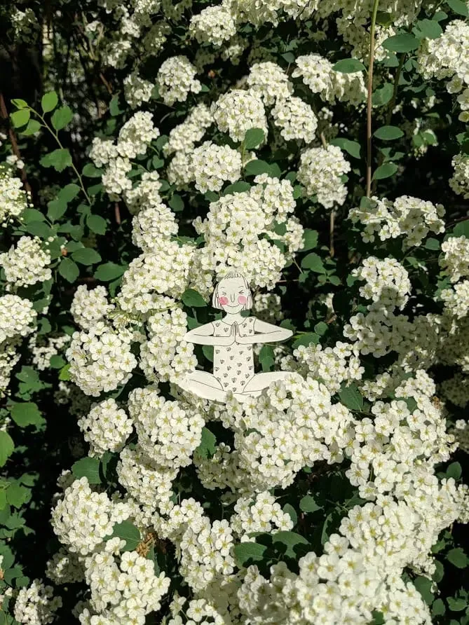 Small figure sitting cross-legged with palms pressed together amid dense white spiraea blossom