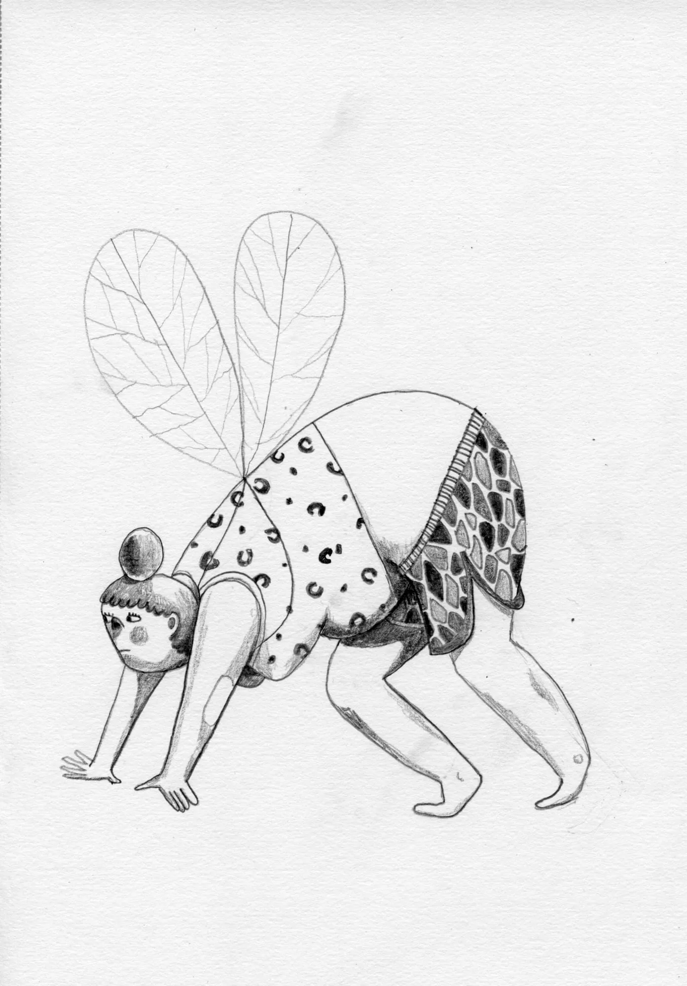 Pencil study of a woman on all fours with dragonfly wings and a spotted, patterned back
