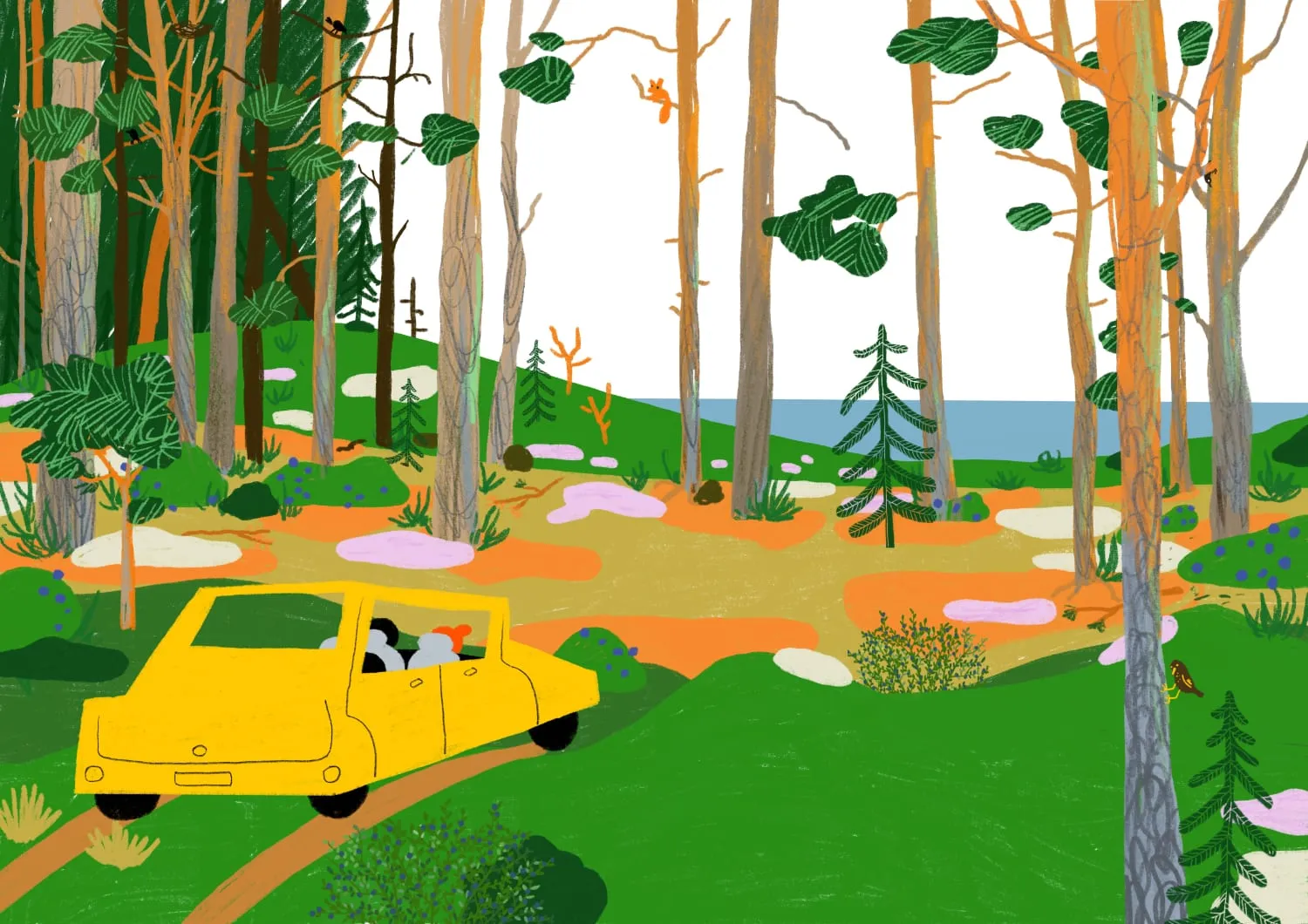 A yellow car drives a sandy track through tall pines, the sea glinting beyond the trees